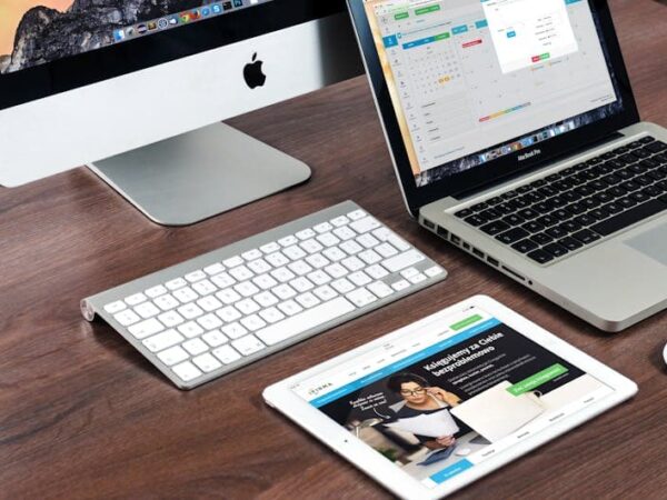 Website Design Trends of 2024